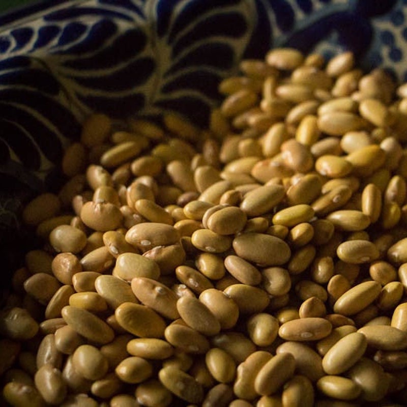 Rancho Gordo Mayocoba Bean