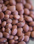 Rancho Gordo Santa Maria Pinquito Bean