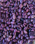 Rancho Gordo Ayocote Morado Bean