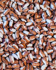 Rancho Gordo Snowcap Bean