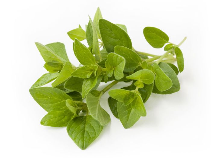 Oregano White Balsamic Vinegar